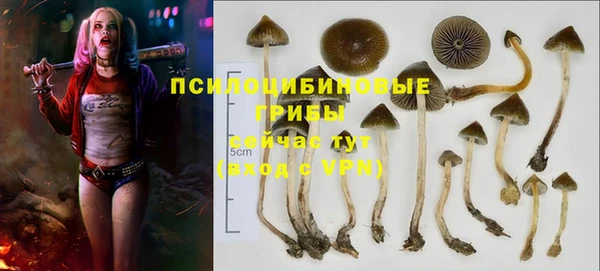 спиды Киренск
