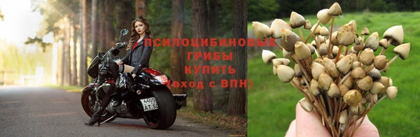 СК Кинешма
